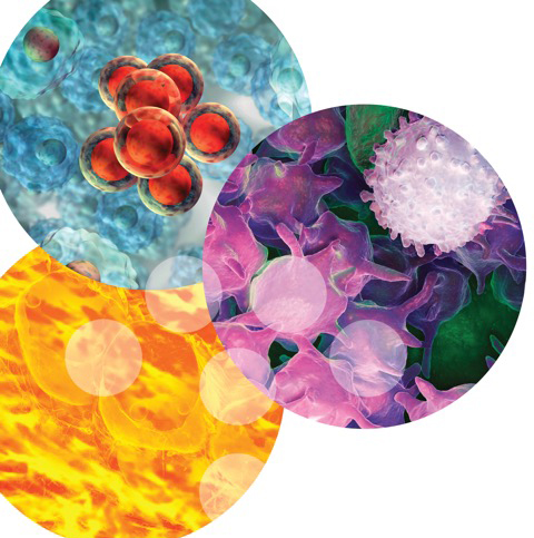 Platelet Rich Plasma Articles Fretured Image