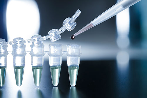 Platelet Rich Plasma Therapy – Regenerative Medicine Working For You Fretured Image