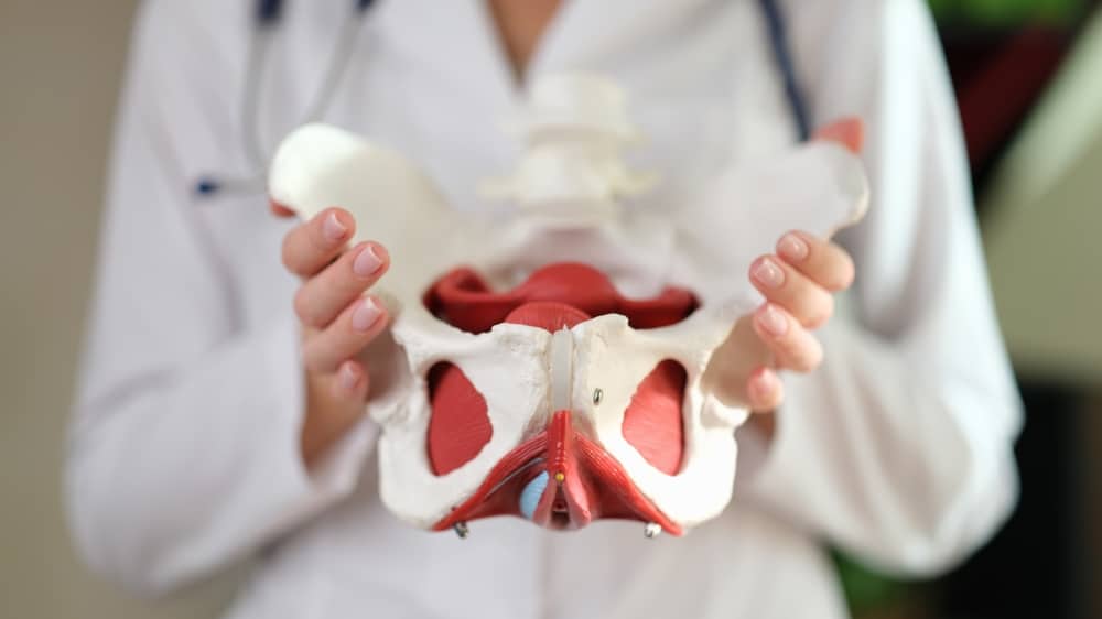 Total Hip Replacement vs Hip Resurfacing: Which Is Right for You? Fretured Image